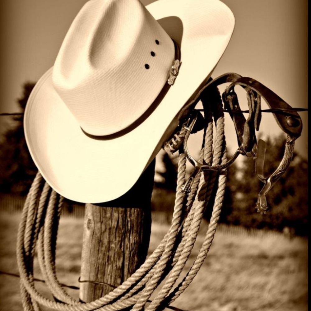 Meet your Posher, Manuel